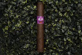 LCA Purple People Eater